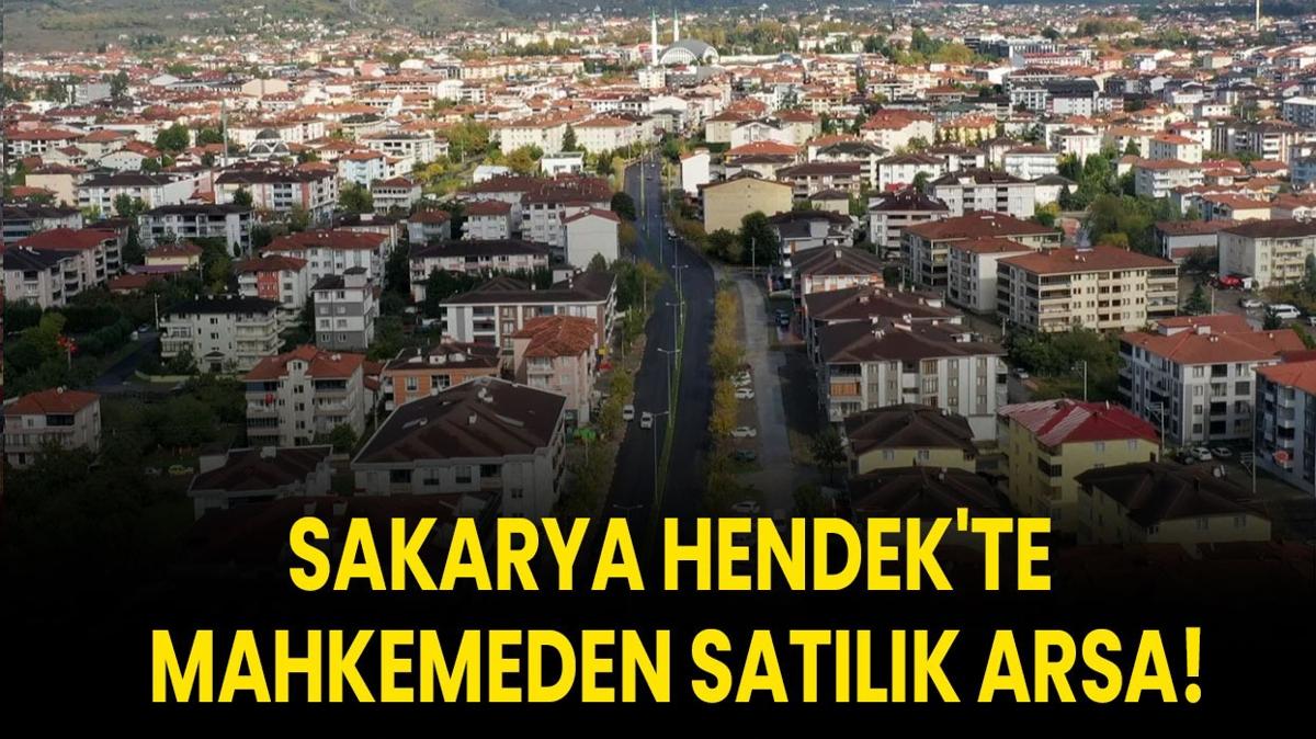 Sakarya arsa sat Hendekte mahkeme sat 13.435 metrekare arsa fotoraflar resimleri