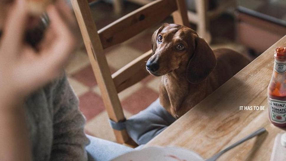 Lezzet şövalyeleri iş başında