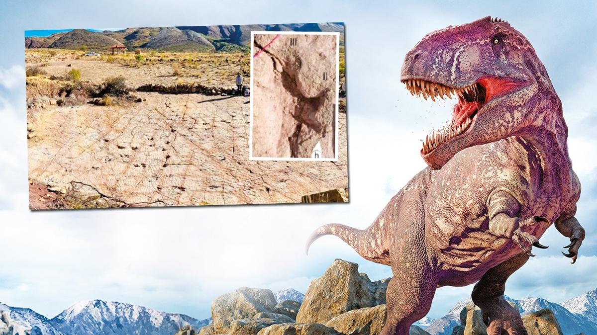 aratrma bilim insanlar dinazor ayak izi fotoraflar resimleri