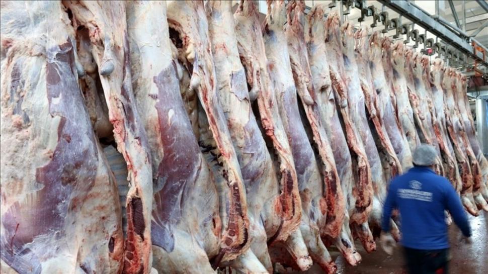 Elazığ'a dev besi organize bölgesi kuruluyor: 61 tesis yılda 4 bin 500 ton üretecek