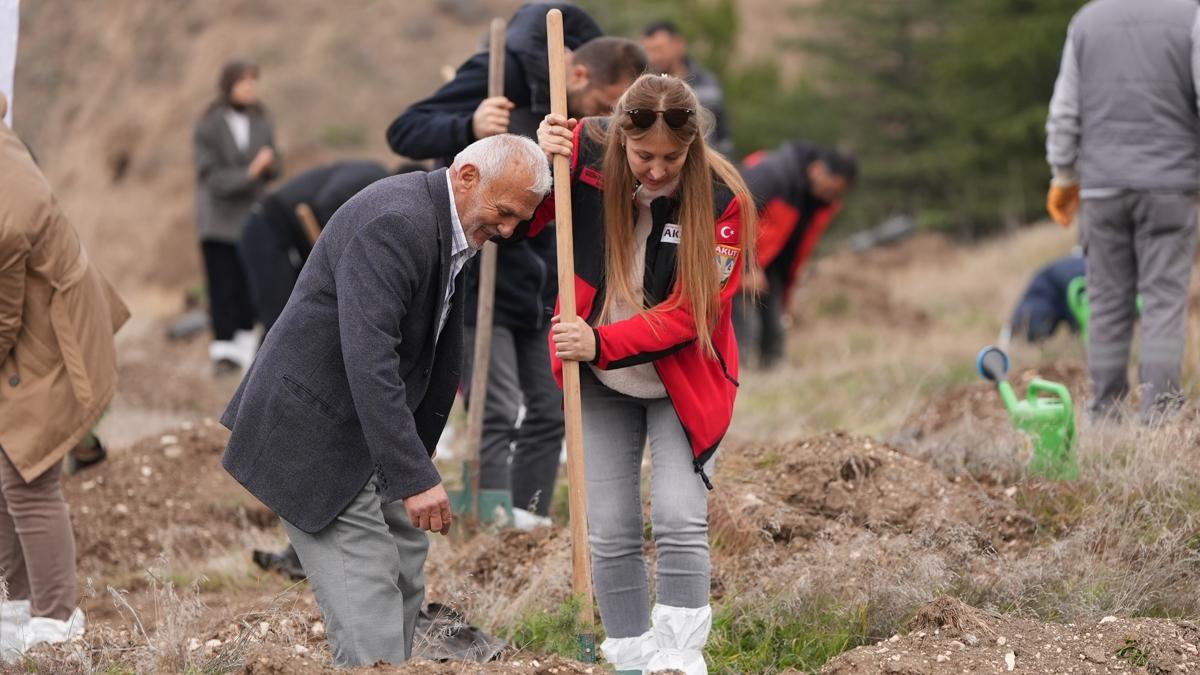 tusa ehit hatra orman fotoraflar resimleri