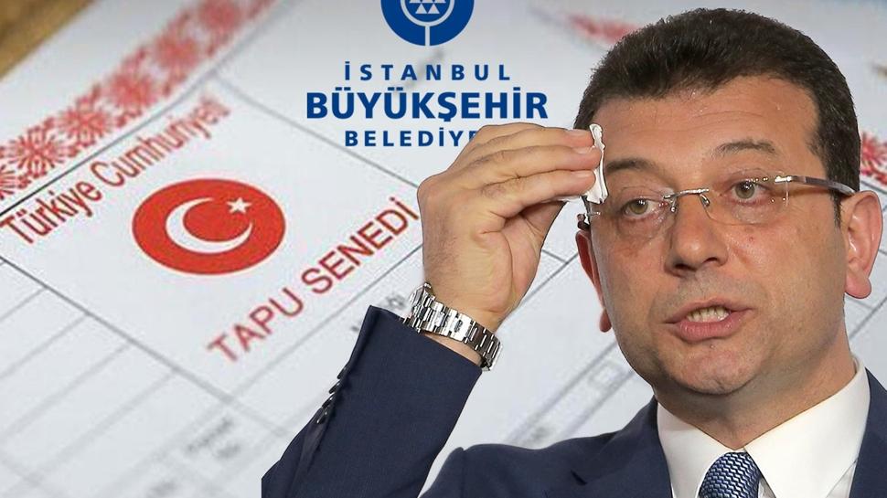 Eko-sistem yelerinin zenginlii ifa oldu! BB'deki arkn srr tapuda zld