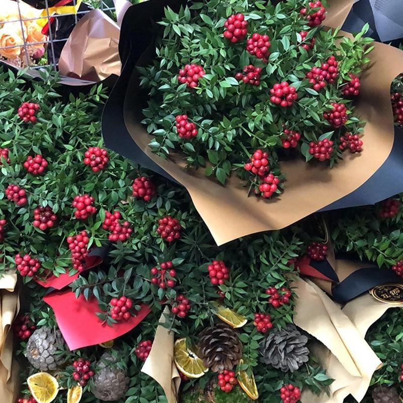 Kokina suya koyulur mu? Meer kokinalarn burumasnn sebebi