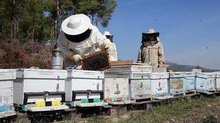 Arclk mesleine dzenleme geliyor