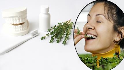 Kekik di�leri beyazlat�r m�?