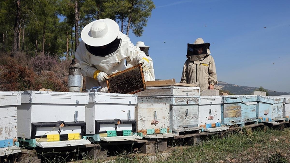 Arclk Standartlar Mesleki Yeterlilik Eitim Program fotoraflar resimleri