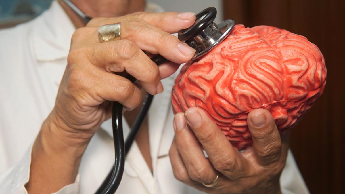 beyin  salk hayat fotoraflar resimleri