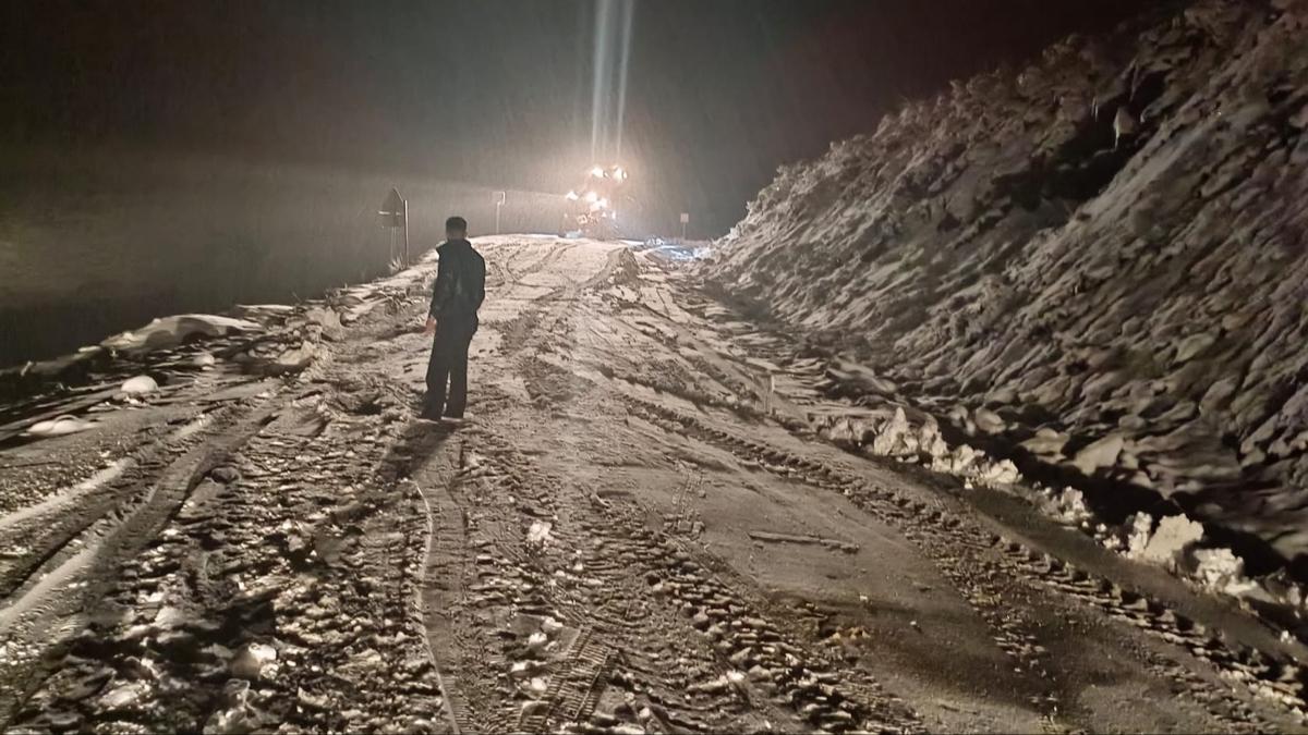 mu kar hasky fotoraflar resimleri