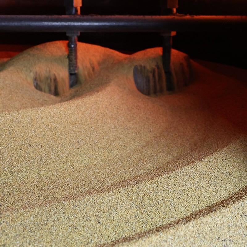 Pekmezi tahtndan etti! Kahvaltda mutlaka tketin: Omega-3 deposu