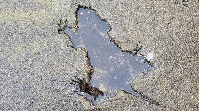 Viral Chicago deliinin srr bilim insanlar tarafndan zld