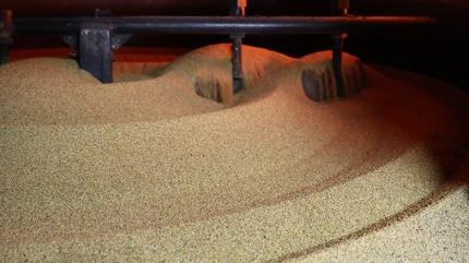 Pekmezi tahtndan etti! Kahvaltda mutlaka tketin: Omega-3 deposu