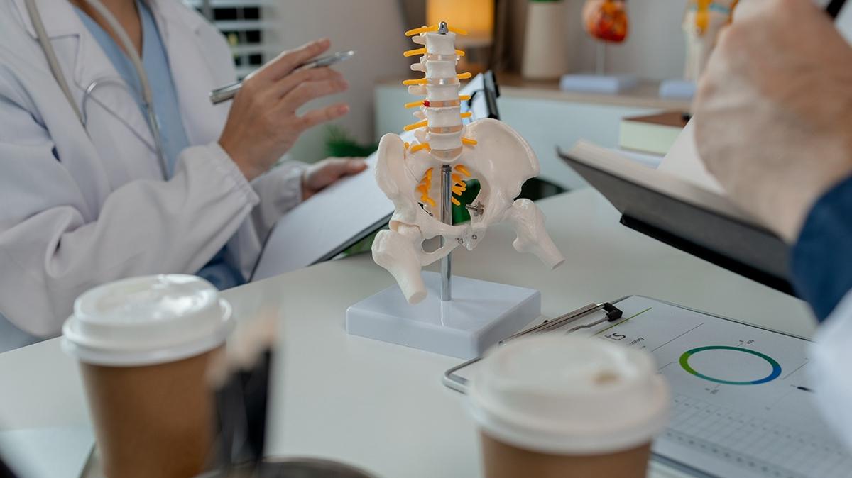 metabolizma hafif aktivite salk aratrmas fiziksel aktivite yaam tarz fotoraflar resimleri