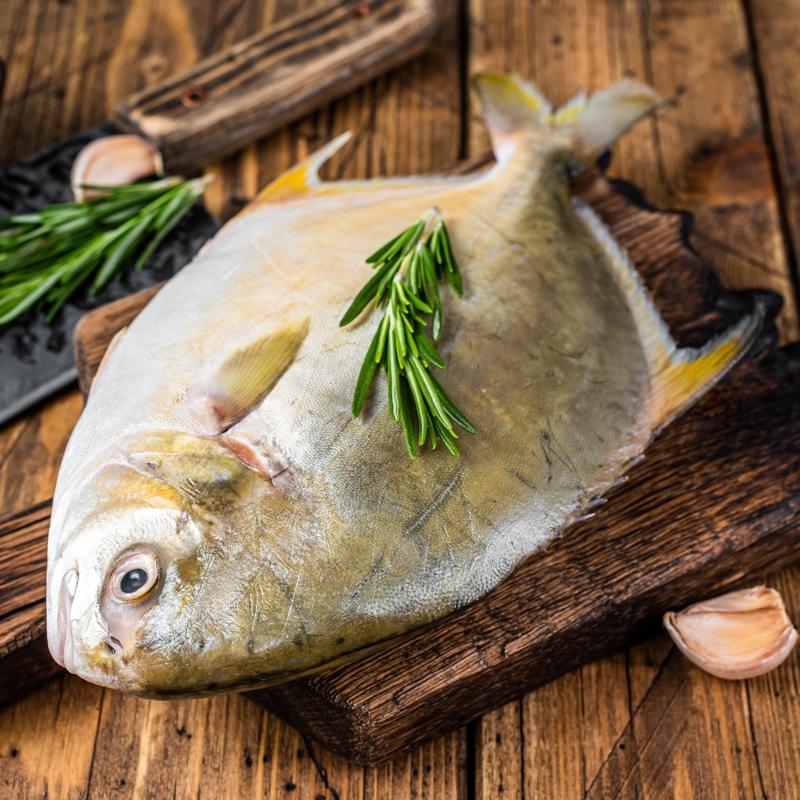 Mideyi fel ettiren balk: Tketen doktora kouyor, aznza srmeyin