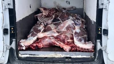 6,1 ton kaak ve bozulmu et ele geirildi: 3 gzalt