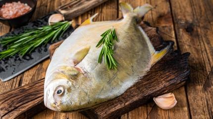 Mideyi fel ettiren balk: Tketen doktora kouyor, aznza srmeyin