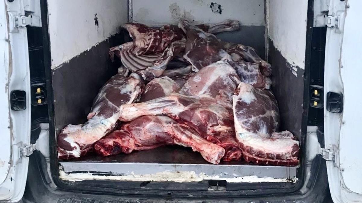 kaak hayvansal rn bozulmu rn Krehir operasyonu fotoraflar resimleri