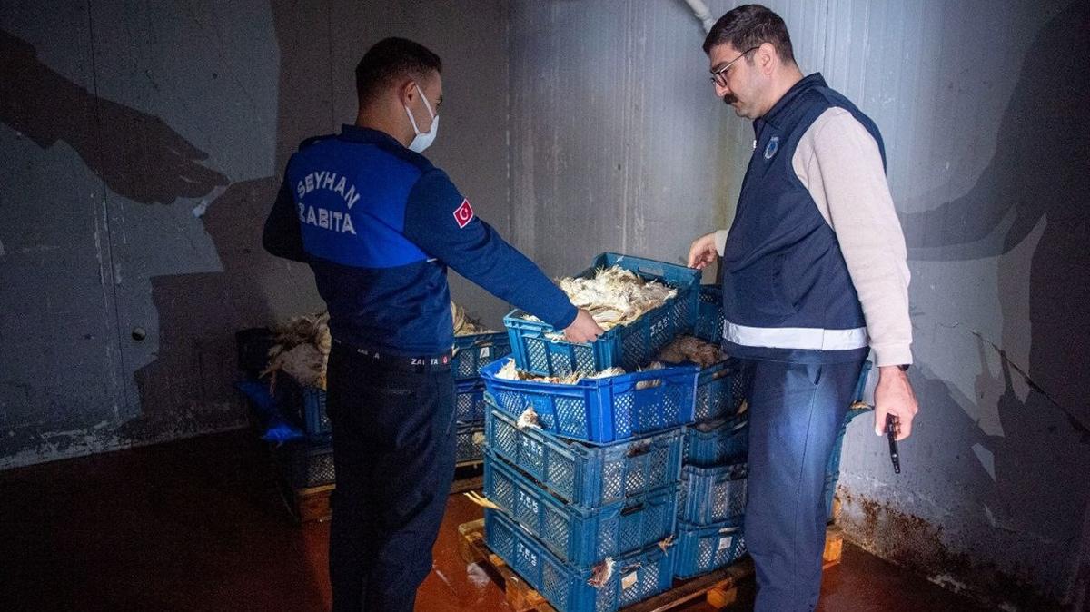 tavuk adana kokumu fotoraflar resimleri