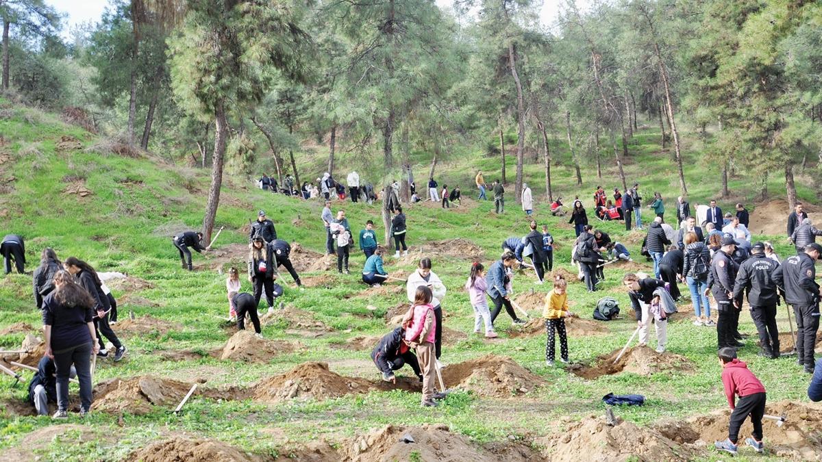 orman art Trkiye evre koruma fotoraflar resimleri