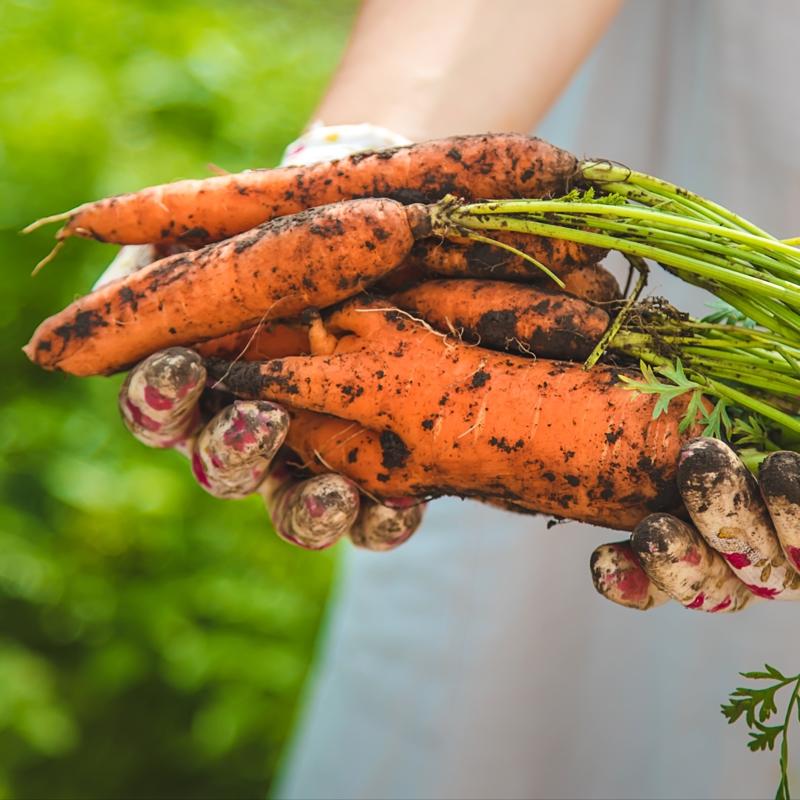 Renk deitiren alkanlk: Her gn havu tketirseniz ne olur?