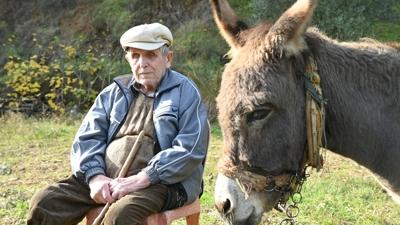 Manisa'da y�rek �s�tan hikaye... 82'lik Raif Kurt e�e�iyle k�y k�y geziyor