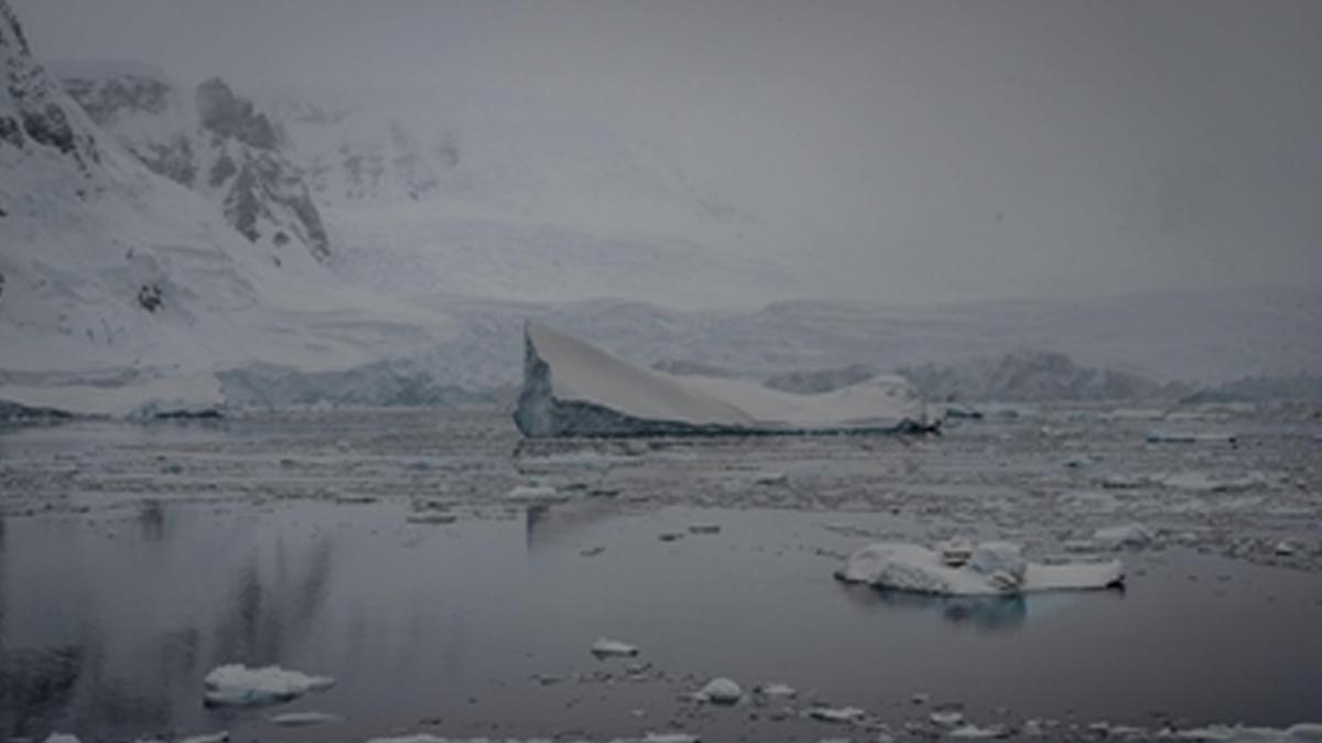 Antarktika risk  su seviyesi ykselme  deprem riski fotoraflar resimleri
