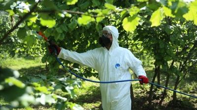 Zorunlu hale getirildi: Bakanl�ktan zehirlenme vakalar� sonras� yeni tedbir