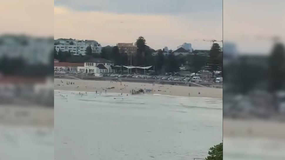 Avustralya'da plaja silahlı saldırı: Yaralılar var