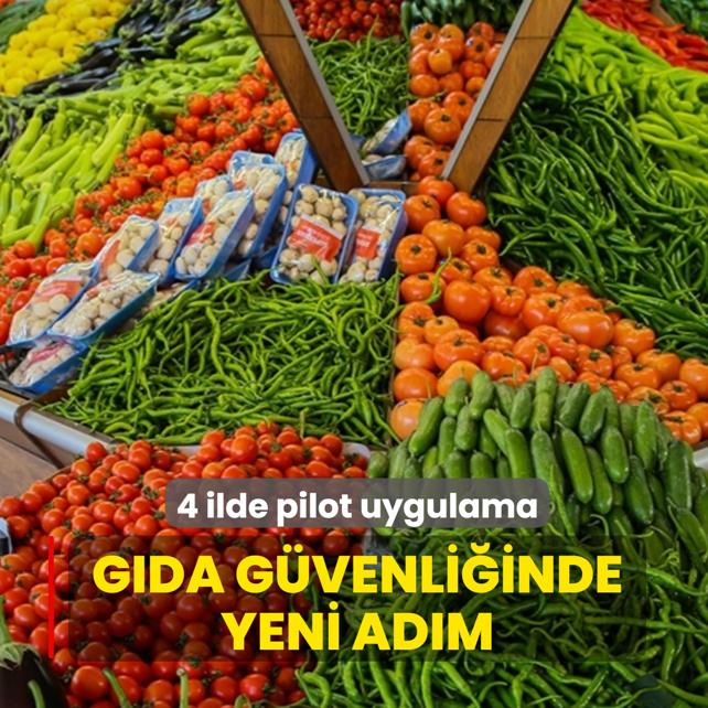 Gda gvenliinde yeni adm... 4 ilde pilot uygulama