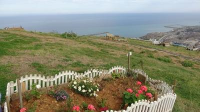 Manzaral� mezar i�in s�raya girdiler: Binlerce ki�ilik alan doldu