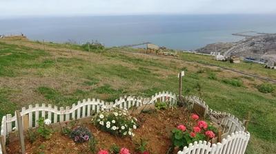 Manzaral� mezar i�in s�raya girdiler: Binlerce ki�ilik alan doldu