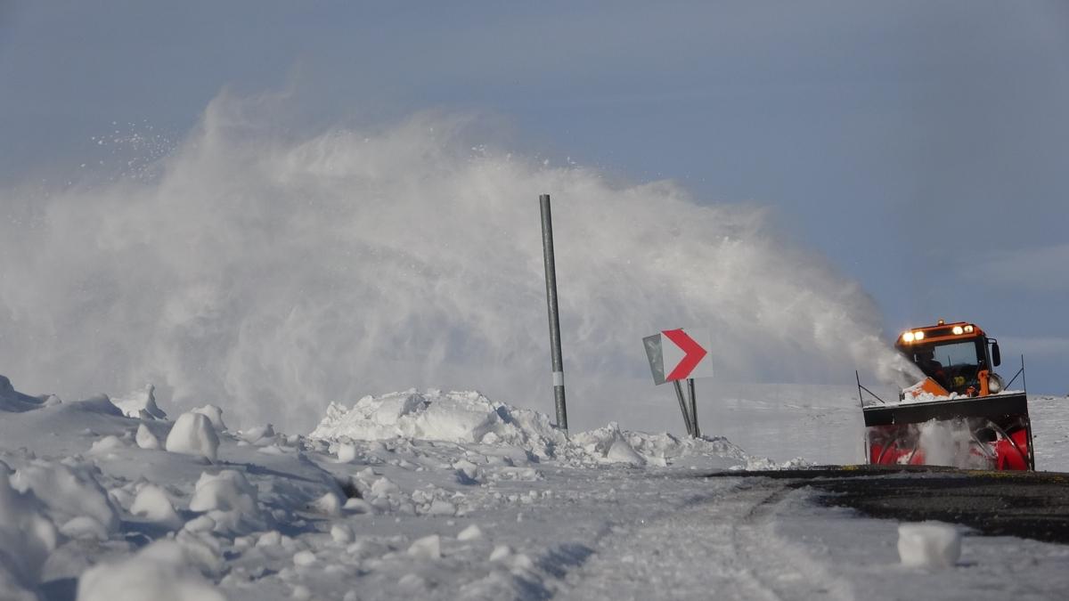 ardahan kar ulam fotoraflar resimleri