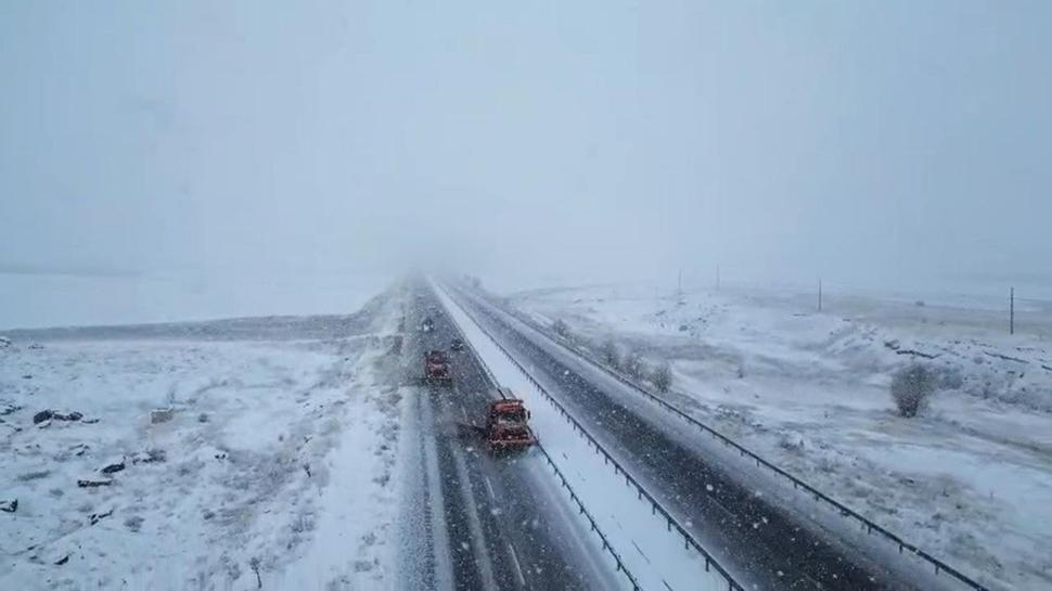 Turuncu kaplanlar "kar" mesaisinde