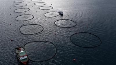 GFCM raporu açıkladı! Türkiye denizlerde açık ara lider