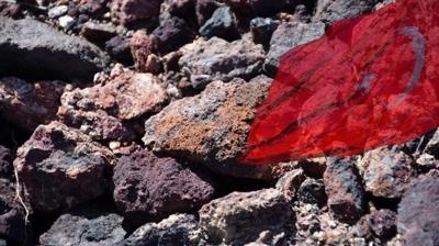 Türkiye'ye NTE'de ortaklık teklifi! 'Kilit oyuncu olabilirsiniz'