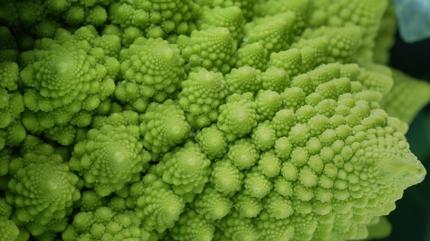 Ara�t�r�ld�! Di�er sebzelerden 7 kat daha faydal�! Kansere kar�� kalkan