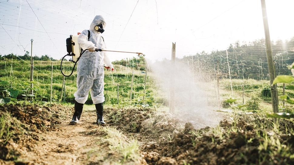 Uygulama ocakta başlıyor! Pestisit tehdidine karşı B-Reçete