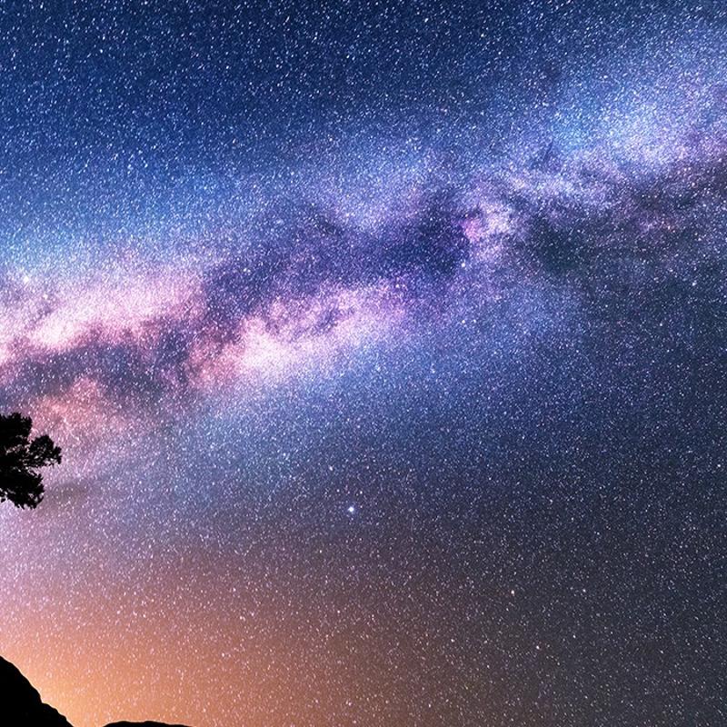 17 Aral�k 2025 �ar�amba g�nl�k bur� yorumlar�: Sab�rl� olan kazan�r, ani ��k��lardan ka��n�n