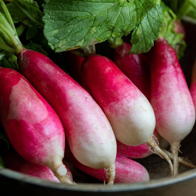 Bron�lar� gev�eten sebze: Tahri�i iyile�tiriyor, balgam� s�kt�r�yor