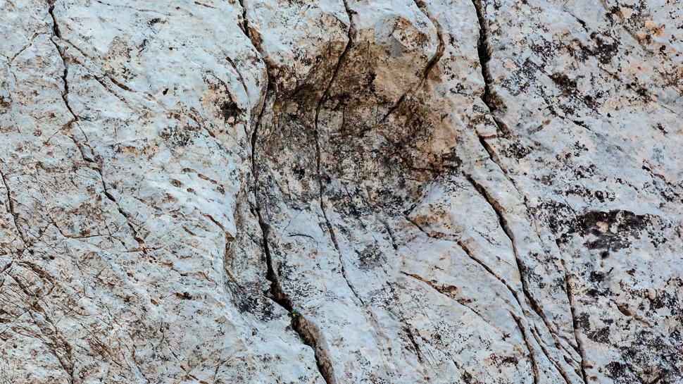 İtalya'da dinozor keşfi... Binlerce yıllık ayak izleri bulundu