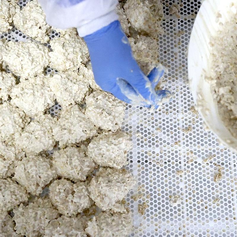 Malatya'n�n do�al kab�zl�k ilac�: Lif deposu, protein ambar�! Ba��rsaklar� pamuk gibi yumu�at�yor