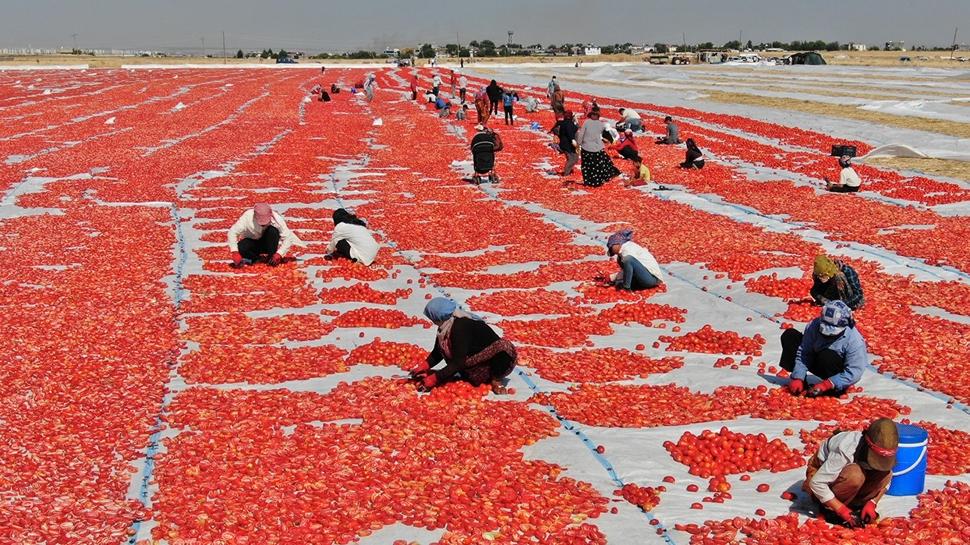 Kahvaltının vazgeçilmezi şifa değil zehirmiş: Gaz, şişkinlik ve hazımsızlık yapıyor