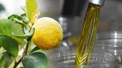 Kutu kutu kolajene bedel: Limon s�k�p i�in! K�r���kl��� milim milim a��yor, v�cudu dip�ik gibi yap�yor