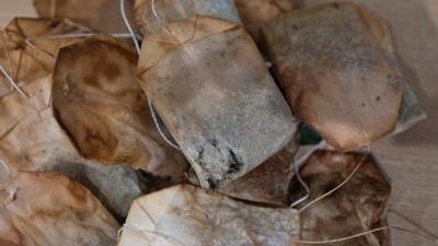 Mikroplastik tehdidi bu i�ecekte! Kanser geliyorum diyor, a�z�n�za s�rmeyin