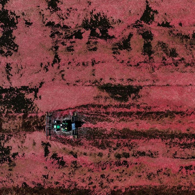 Kendili�inden yeti�iyor, de�eri bilinmiyor: �ay�n� demleyip i�in! B�brek ta��na ameliyats�z ��z�m