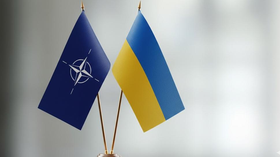 NATO'dan Ukrayna mesajı... "Üyeliği mümkün değil"