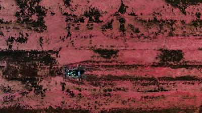 Kendili�inden yeti�iyor, de�eri bilinmiyor: �ay�n� demleyip i�in! B�brek ta��na ameliyats�z ��z�m