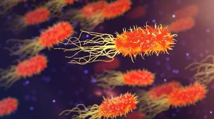 Bakterilerden �retilen malzeme petrol bazl� plastiklere alternatif olabilir