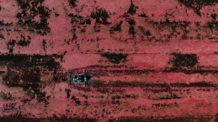 Kendili�inden yeti�iyor, de�eri bilinmiyor: �ay�n� demleyip i�in! B�brek ta��na ameliyats�z ��z�m