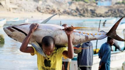 T�rkler Somali'de bal�k av�na ��k�yor