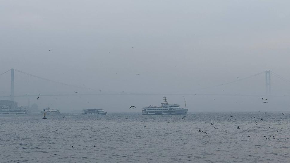 Megakenti sis esir aldı